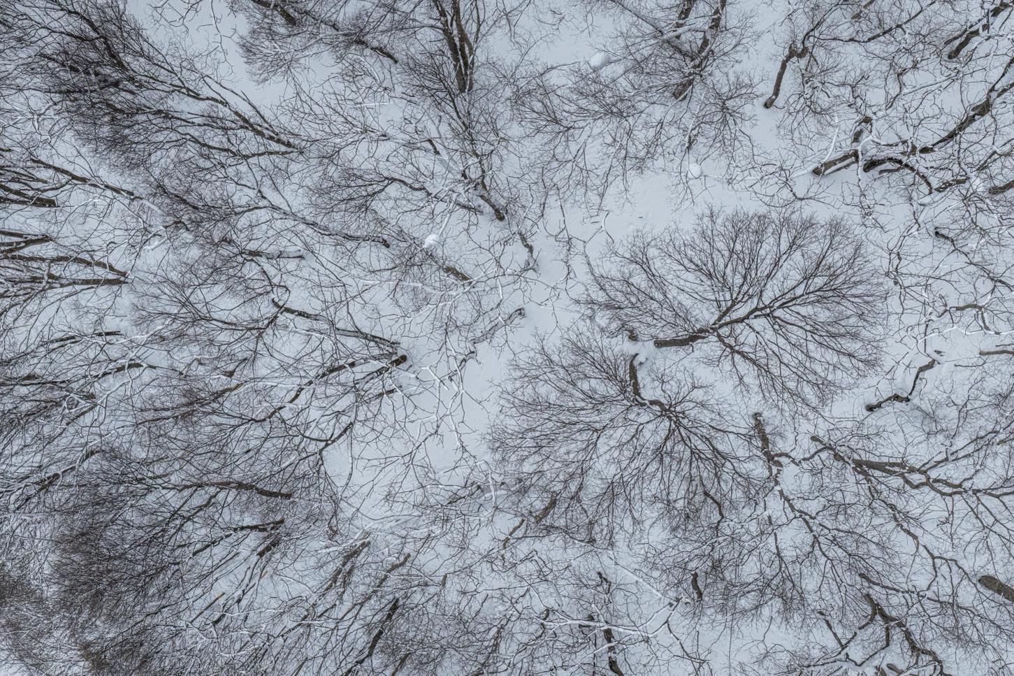 DJI_20260217121209_0540_D