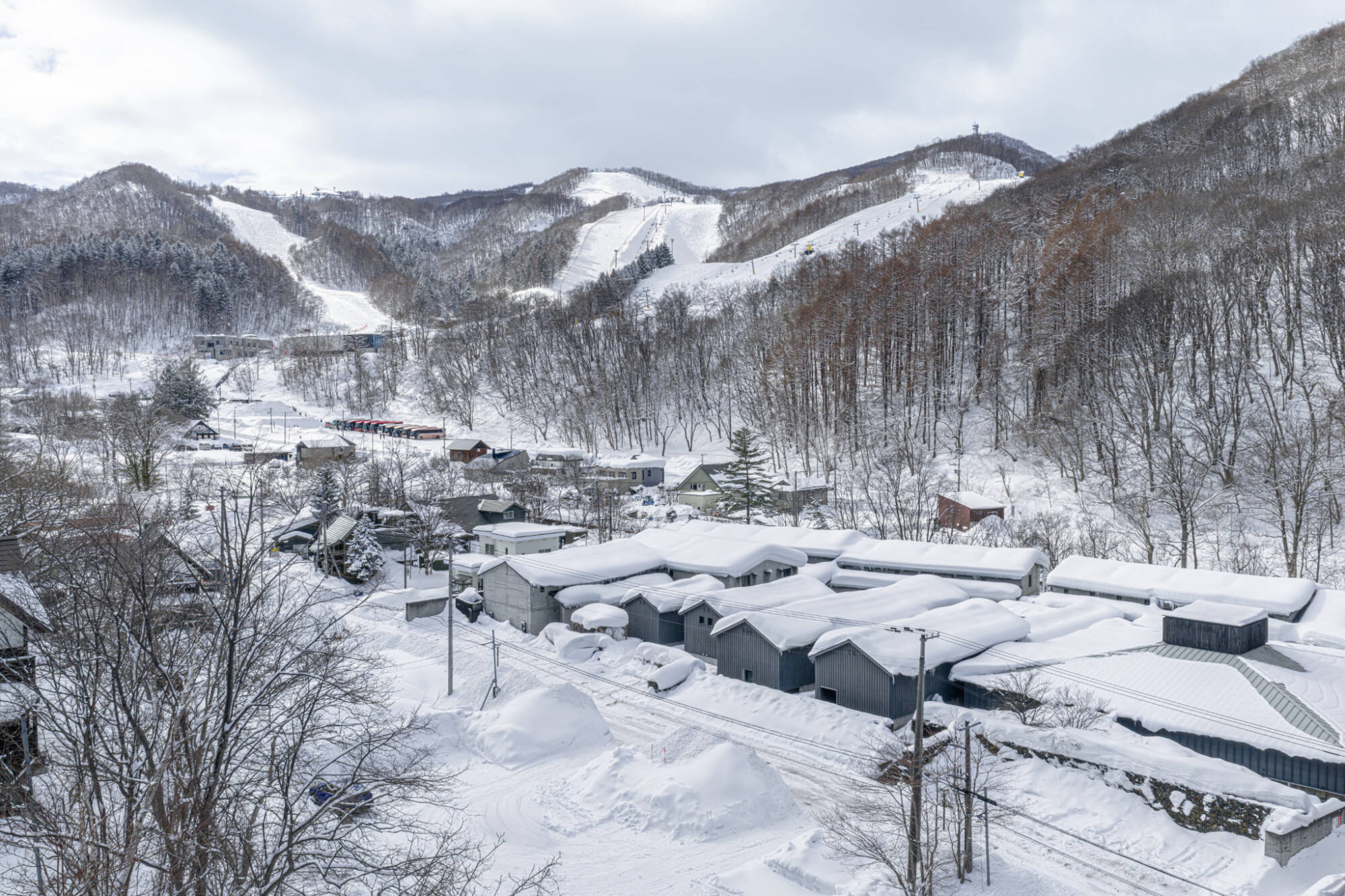 DJI_20260217120858_0529_D (1)